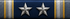 The Service Citation (2 Years)